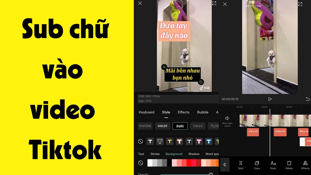 Để có clip Tik Tok có chữ chạy phải cần sử dụng ứng dụng Animated Text. Bạn tải áp dụng Animated Text này về cho điện thoại Android tại đây. Sau khi tải về điện thoại ứng dụng Animated Text