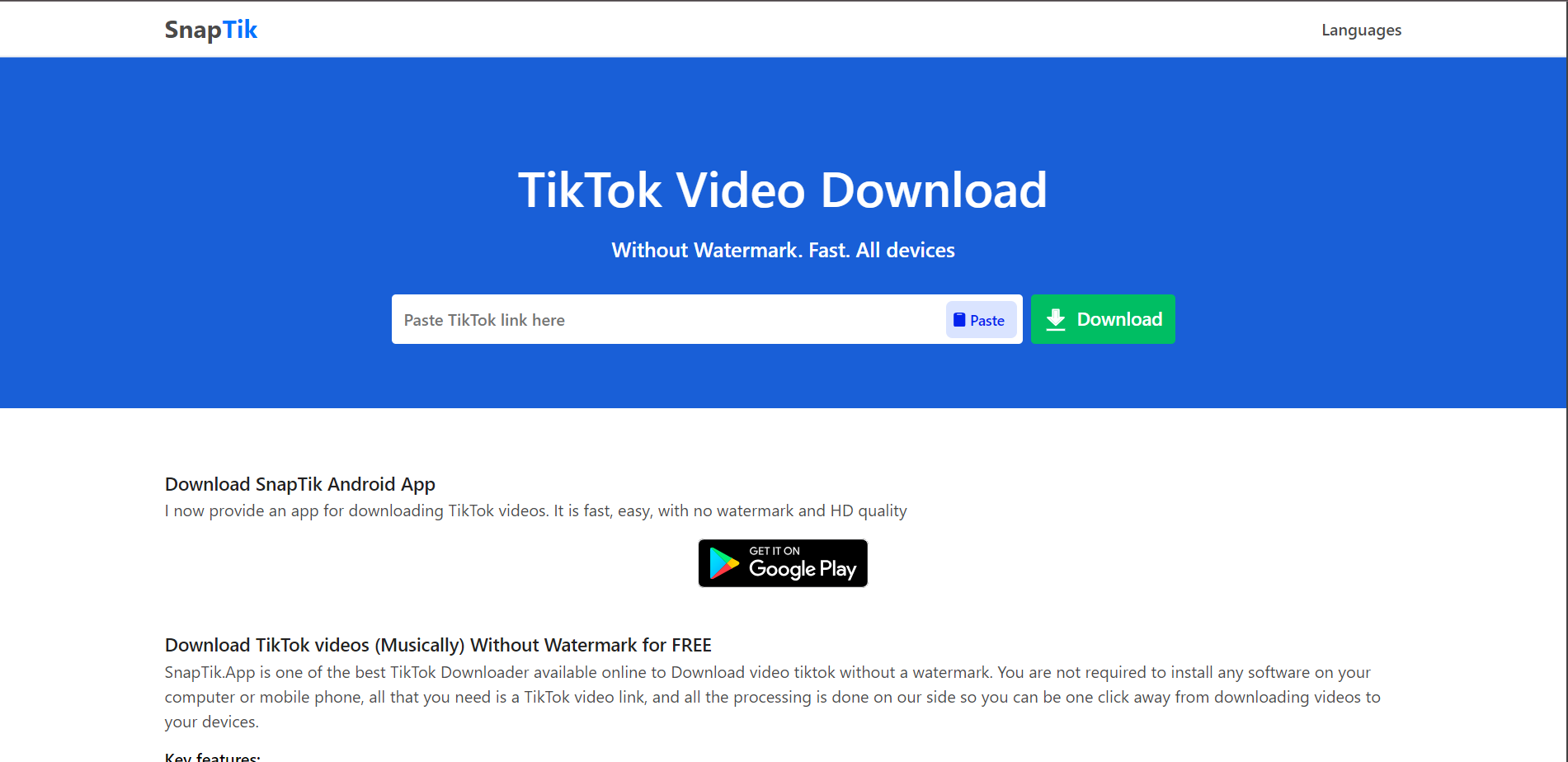 Công cụ tải video TikTok