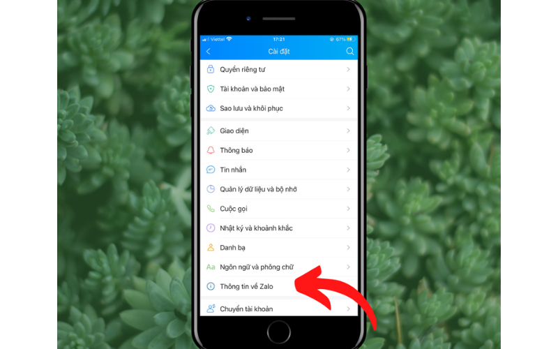 Vào mục "Thông tin Zalo"