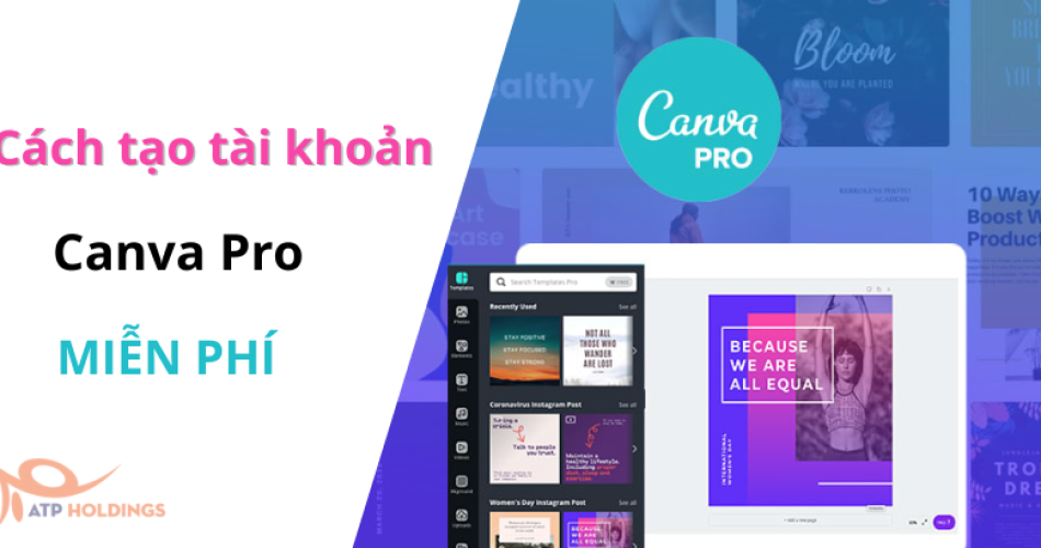 cách dùng canva pro miễn phí