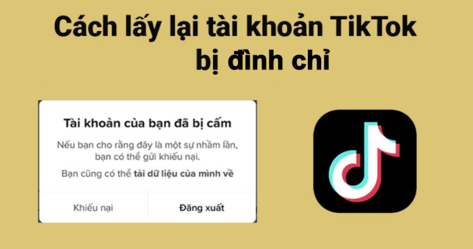 tài khoản TikTok bị đình chỉ